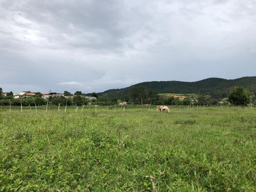 José Herrera Vende Mini Finca En La Entrada De Nirgua Estado Yaracuy. (plf-005)