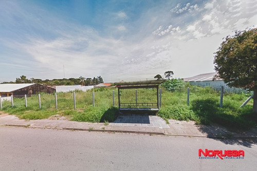 Imagem 1 de 4 de Terreno Para Alugar - 36066.001