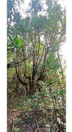 Imagen 2 de 30 de Remax Vende Proy. Volkania Camino A Malalcahuello