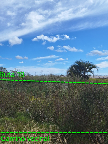 Vendo Campo De 5has Esquinero, Sobre Ruta 19 A 20km Del Chuy, Paraje Isla Negra A 7 Km De 18 De Julio