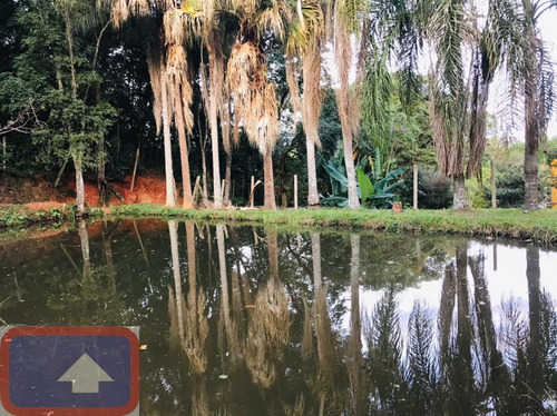 Lindo Sítio A Venda Atibaianos Em Bragança Paulista/sp - 14550