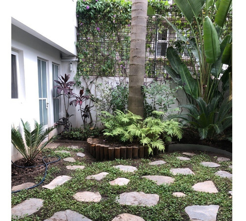 Imagen 13 de 30 de Casa Con Terraza Y Parrilla En Palermo - Hecha Nuevo - De Revista