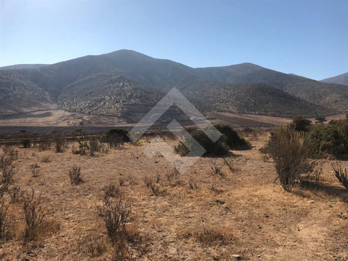 Agrícola En Venta En Andacollo