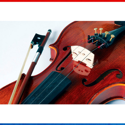 Violino Eagle Profissional Vk 644 4/4 Maciço Solid Spruce