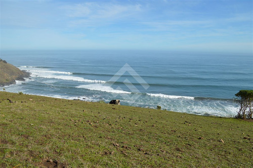Sitio En Venta En Vichuquén