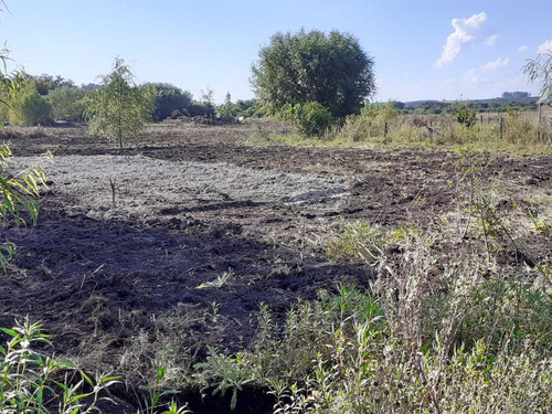 Terreno - Nueva Palmira