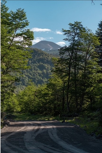 Vendo Parcela 5000m2 En Rinconada De Pucon Curarrehue