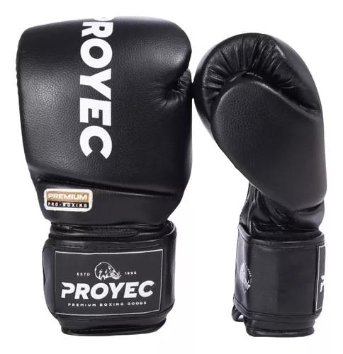  Guantes de boxeo para hombres y mujeres, guantes de  entrenamiento de 8 onzas, 10 onzas, 12 onzas, Muay Thai, Kickboxing, MMA  (color C, tamaño: 12 onzas) : Deportes y Actividades al Aire Libre