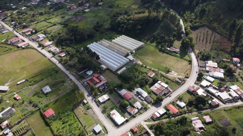 Imagen 5 de 15 de En Venta Finca De 2 Hectáreas En La Guanota