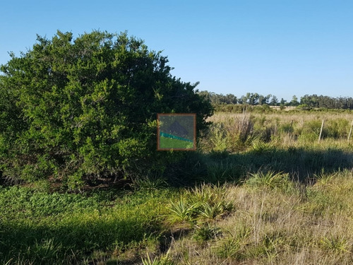 Imagen 5 de 12 de Chacra En Los Ceibos 4 Hás