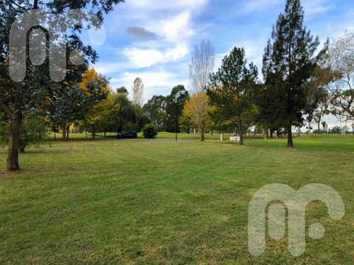Imagen 8 de 10 de Venta Terreno - Club Miralagos