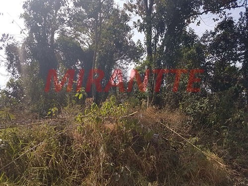 Imagem 2 de 2 de Terreno Em Barreiro - Mairiporã - Mairiporã, Sp - 318177