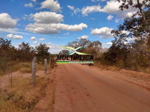 Imagem 4 de 15 de Fazenda 102,22 Hectares, R$ 2.788,10 Ha, Santa Fé De Minas Mg, Pecuária, - 442