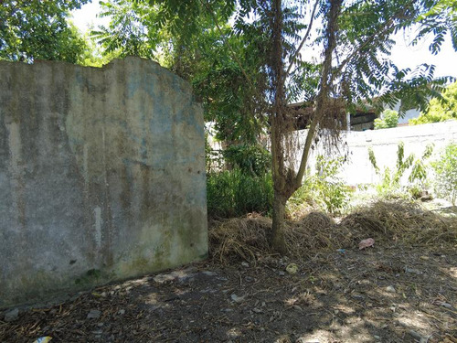 Venta Terreno 1250 M² Col. Manlio Fabio Tuxpan Veracruz