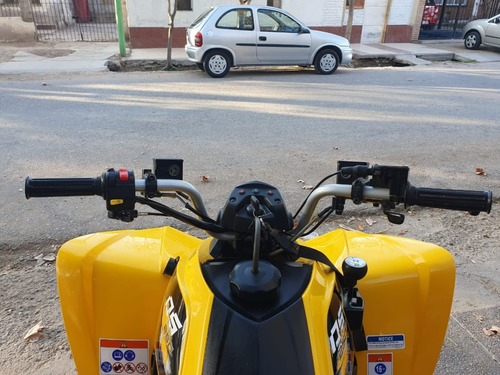 Imagen 4 de 7 de Can Am Ds 250