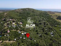 Comprar Terreno Cerro Del Burro Piriápolis Venta Te502080