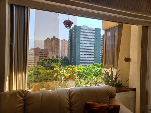 Olga Corina Damiani Apartamento Venta En El Paraiso Mls # 24-19383