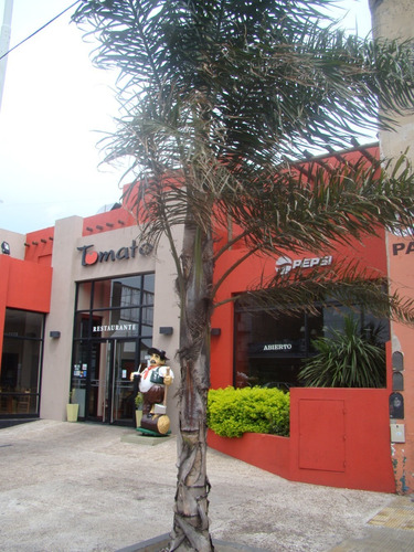 Imagen 11 de 14 de Importante Local Comercial, Sobre Avenida, Doble Frente