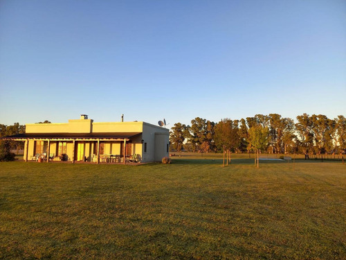 Imagen 8 de 21 de Chacra En Venta- Lobos