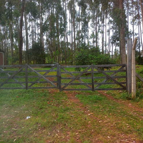 1,35 Hectareas (13.500m2) En Pleno Acceso A Santa Ana, Misiones.
