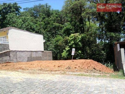 Imagem 2 de 6 de Terreno Residencial À Venda, Escola Agrícola, Blumenau - Te0001. - Te0001