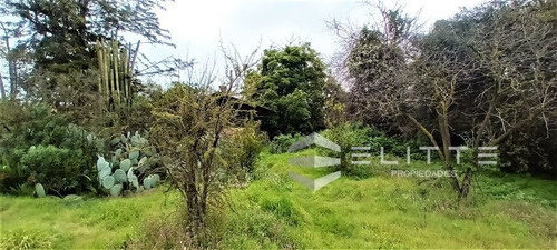 Imagen 22 de 28 de Sitio En Venta En Olmué