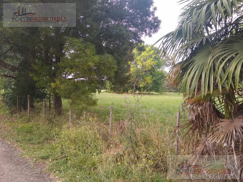 Imagen 3 de 6 de Terreno - Villa Parque Sicardi