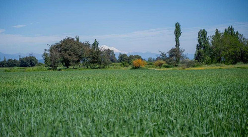 Parcelas En San Gregorio (92608)