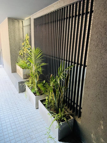 Imagen 4 de 29 de Departamento - Echesortu