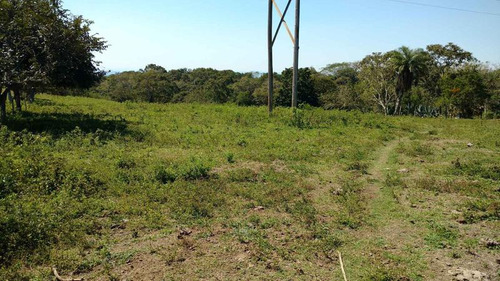 Vendo Rancho Ganadero 223 Hectáreas Temapache Veracruz