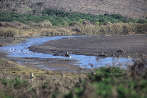 Oportunidad A Pasos De La Playa