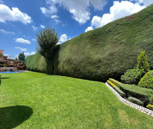 Venta De Casa En Fraccionamiento San Carlos En Metepec