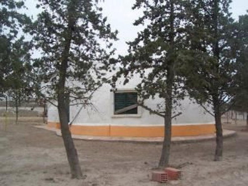 Imagen 4 de 10 de Campo - Biedma