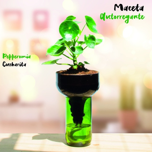 Cuchara Little Plant 27 Sin Soporte. Maceta Autorregante