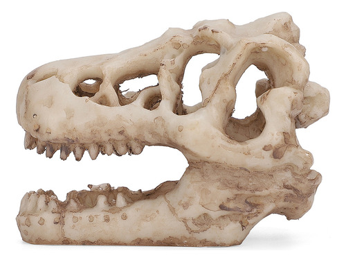 Acuario Artificial Con Decoración De Calavera De Dinosaurio