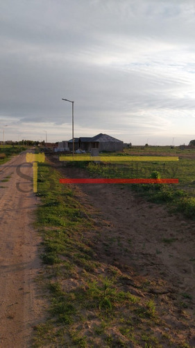 Loteo Los Alamos Ultimos Lotes Disponibles- Gral. Madariaga
