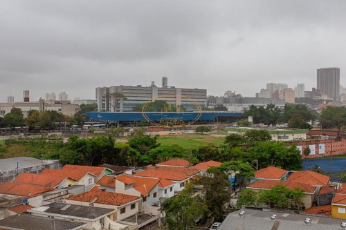 Apartamento Com 2 Dormitório(s) Localizado(a) No Bairro Jardim Promissão Em São Paulo / São Paulo - 12839:919390