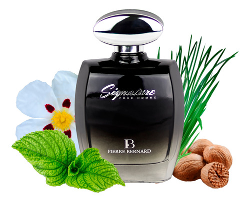 Perfume Pierre Bernard Signature Pour Homme Eau De Parfum - 100ml