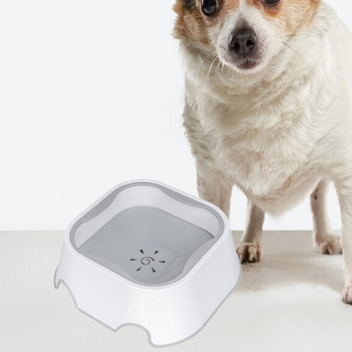 Tazón Para Perros Alimentador Lento Para Beber Tazón Sin