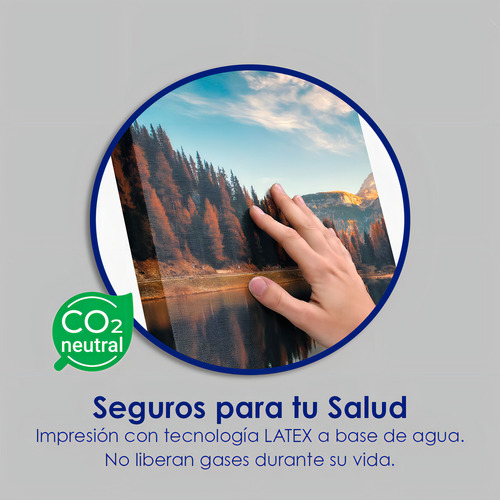 Canvas Cuadro Decorativo Moderno Sala Recamara | 90x140 B19