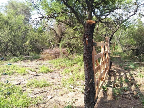 Imagen 11 de 11 de Vendo Lotes De 3.300 M² Cerca De Los Sauces, San Marcos Sierras- Oportunidad