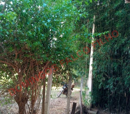 Imagem 9 de 14 de Venda - Chácara - Papirus - Limeira - Sp - D8196