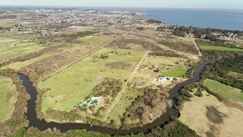 Imagen 3 de 12 de Chacras Venta Nueva Palmira Sobre Arroyo Navegable