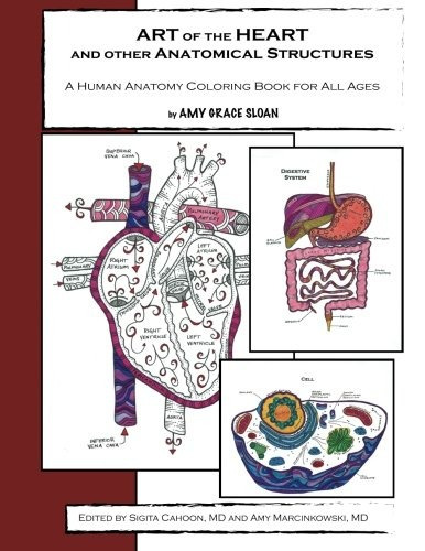 Art Of The Heart And Other Anatomical Structures A Human Ana