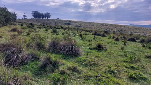 Campo De 80 Has En Paraje Carape Con Costa De Arroyo.