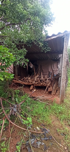 Sítio Com Mais De 20 Mil M2 E Pomar.