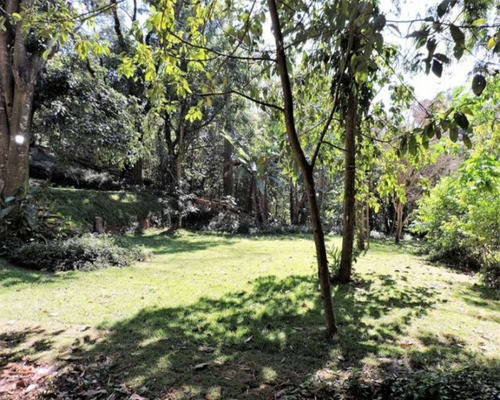 Imagem 7 de 30 de Casa - C4204a - 32915268