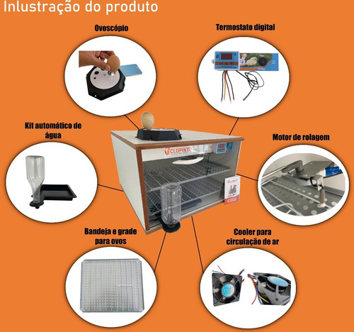 Imagem 2 de 9 de Chocadeira Eclopinto - Até 150 Ovos + Kit Automático De Água