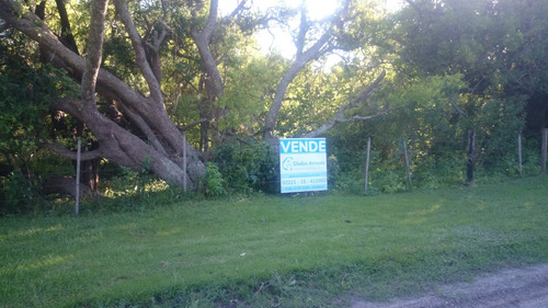 Punta Indio Vende Lote De 19x50 Sobre Moreno