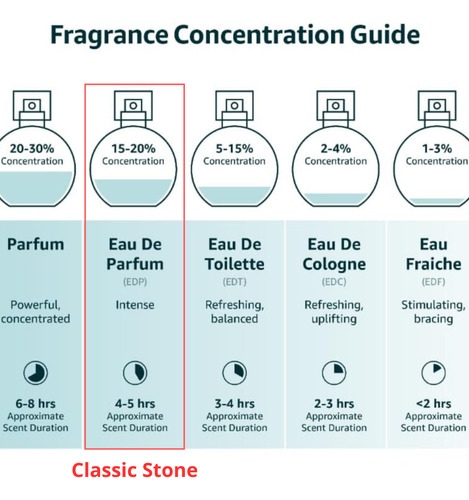 Perfume Árabe Afnan 9pm Rebel Eau De Parfum 100ml - Mais Vendido